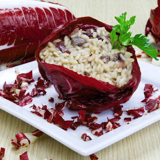 Risotto al radicchio rosso